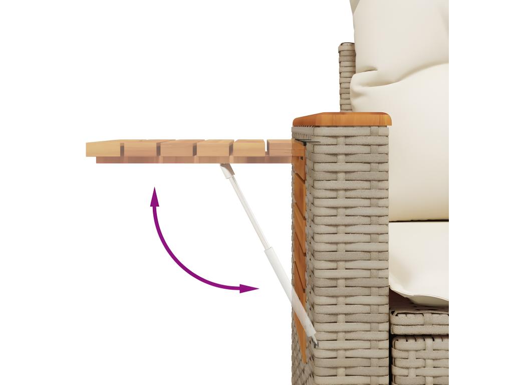 Ensemble de mobilier de jardin en résine tressée beige - dlz1766580604009