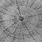 Table d'appoint moderne en béton Adeco pour intérieur et extérieur