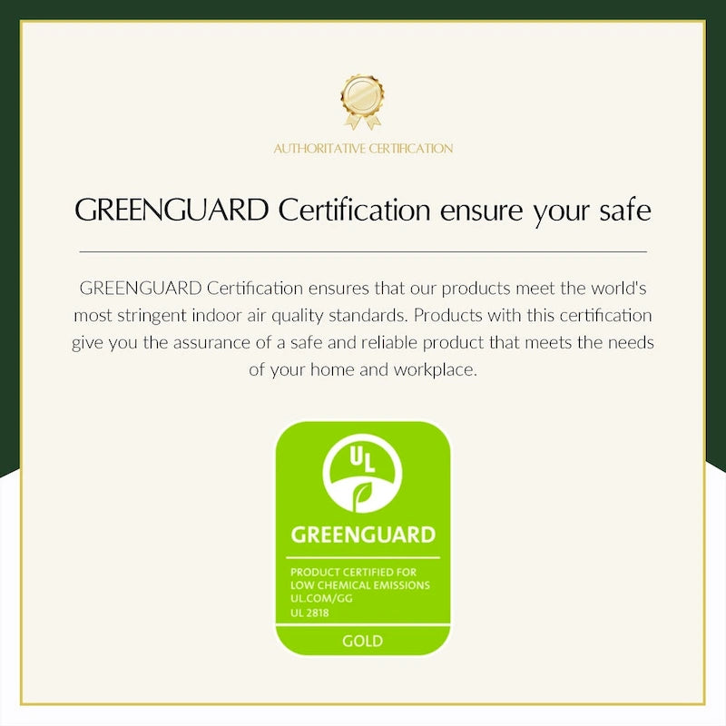 Chaises de salle à manger modernes Antoine à dossier en rotin avec coussin amovible, lot de 2, par HULALA HOME